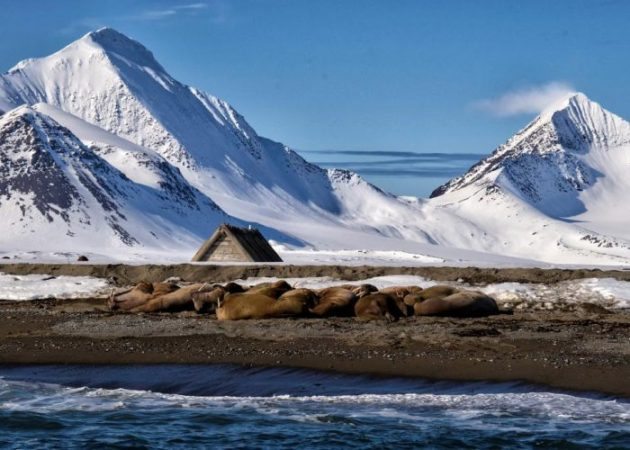 svalbard-norway-700x500