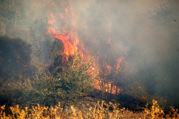 Πυρκαγιά σε εξέλιξη στη λίμνη Καϊάφα - Πρόκειται για τη δεύτερη σε δύο μέρες