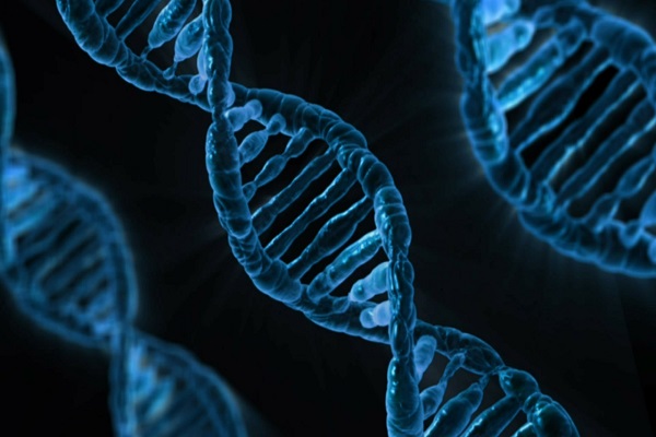 DNA: Δημιουργήθηκε για πρώτη φορά με 8 γράμματα του γενετικού αλφαβήτου