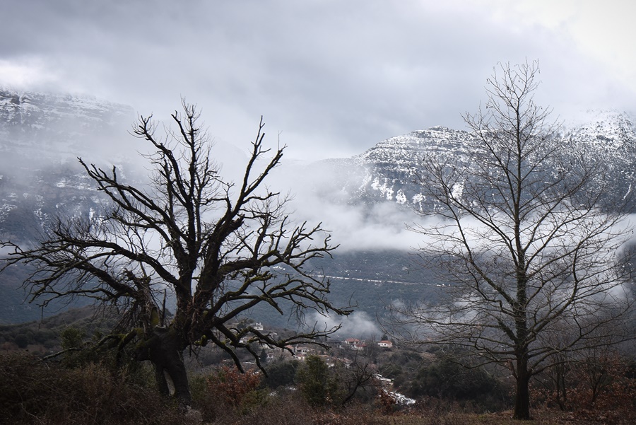 Χωριό ομίχλη καιρός 