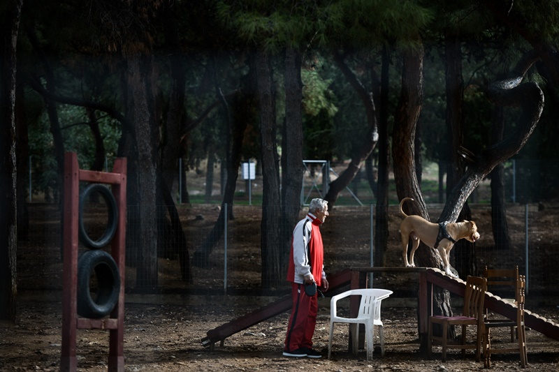 Βόλτα με τον σκύλο εν μέσω πανδημίας