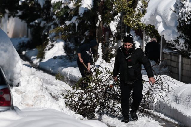 Χιόνια και κομμένα δέντρα