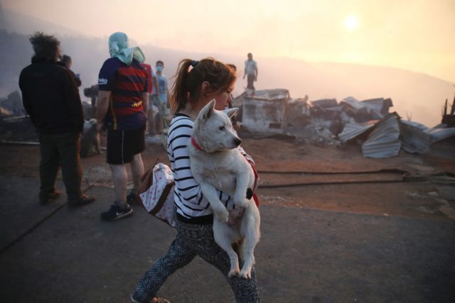 A woman holds her dog after a fire on a hill, where more than 100 homes were burned due to forest fire but there have been no reports of death, local authorities said in Valparaiso, Chile January 2, 2017.  REUTERS/Rodrigo Garrido