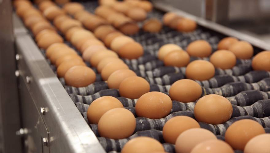 Κατασχέθηκαν 900.000… αυγά, γιατί δεν είχαν την προβλεπόμενη σήμανση!