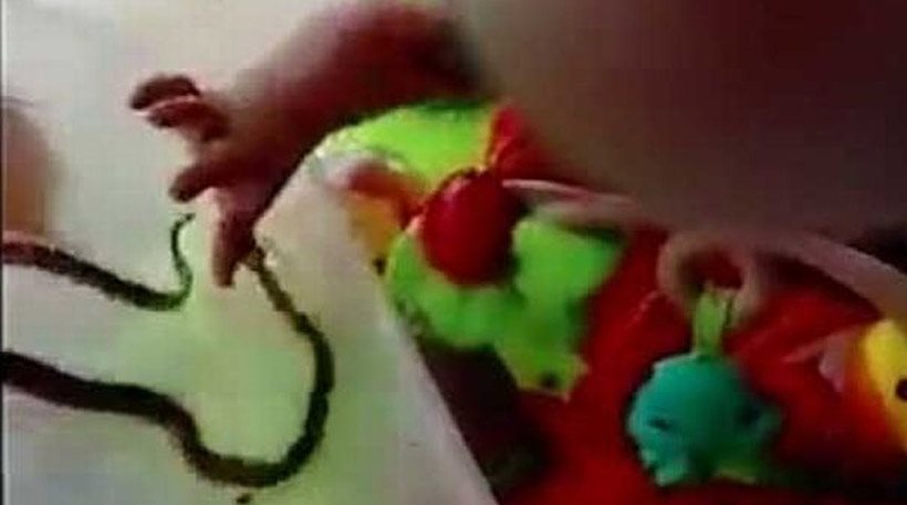Μητέρα βάζει φίδι να τσιμπήσει την κόρη της, για να πάρει… μάθημα ζωής (video)