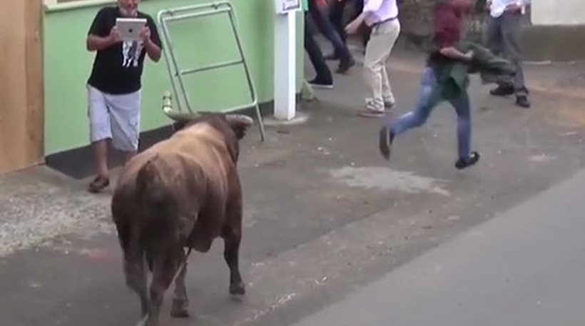 Είχε πέσει με τα “μούτρα” στο ipad και δεν είδε τον μανιασμένο ταύρο (video)