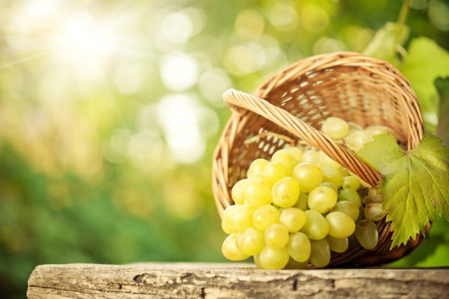 148497_grapes-bunch-basket-leaf-bokeh-the-table_p