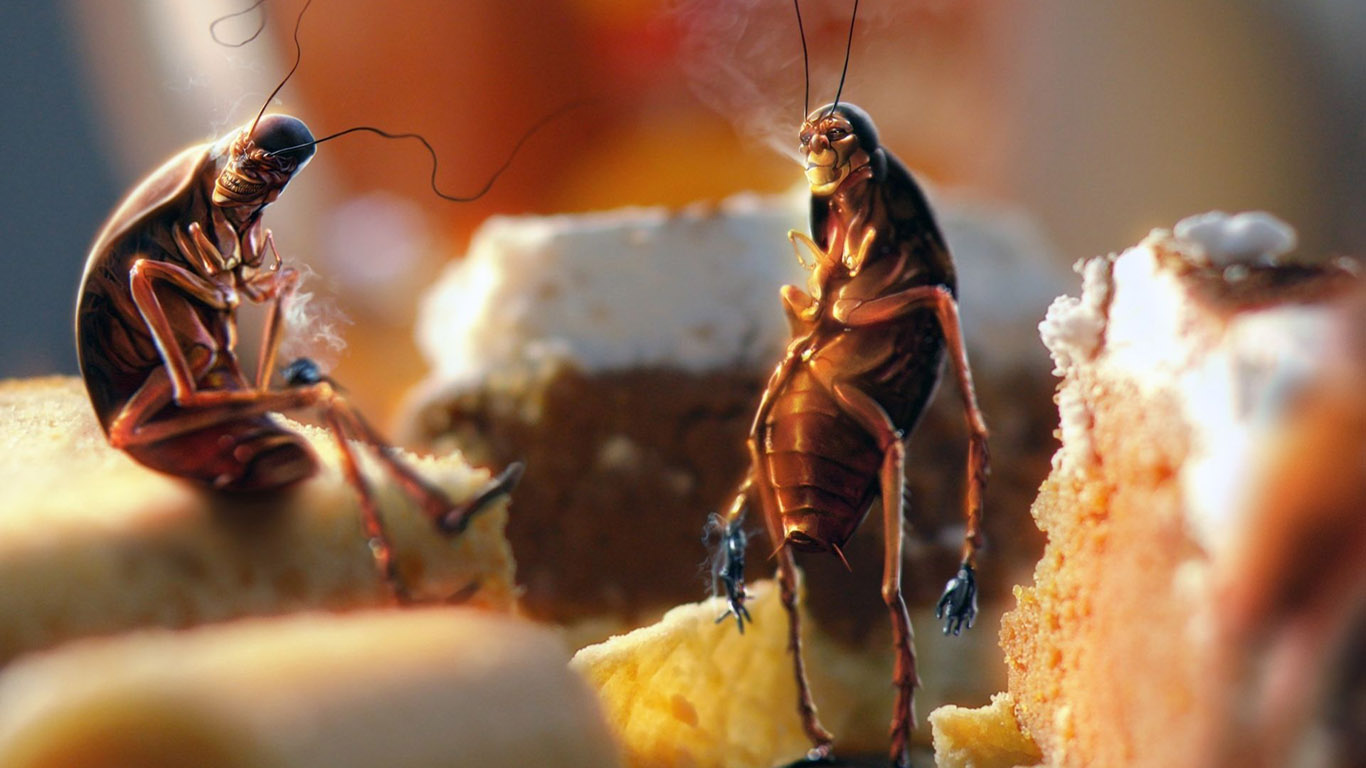 Εντυπωσιακές πληροφορίες για το έντομο που δεν αγαπάει κανείς