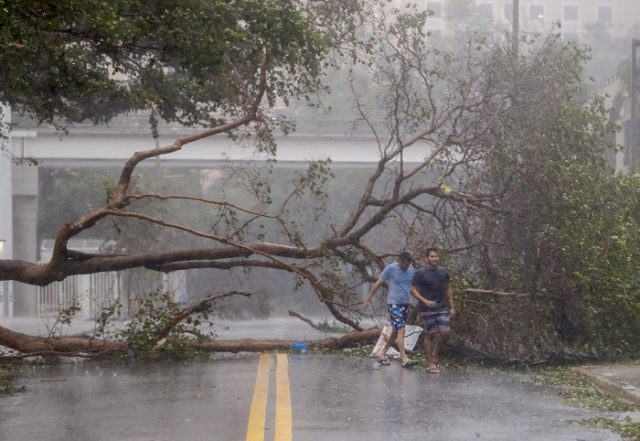 epa06197198 Men walk through toppled trees along Brickell Avenue after the full effects of Hurricane Irma struck in Miami, Florida, USA, 10 September 2017. Many areas are under mandatory evacuation orders as Irma Florida. EPA/ERIK S. LESSER