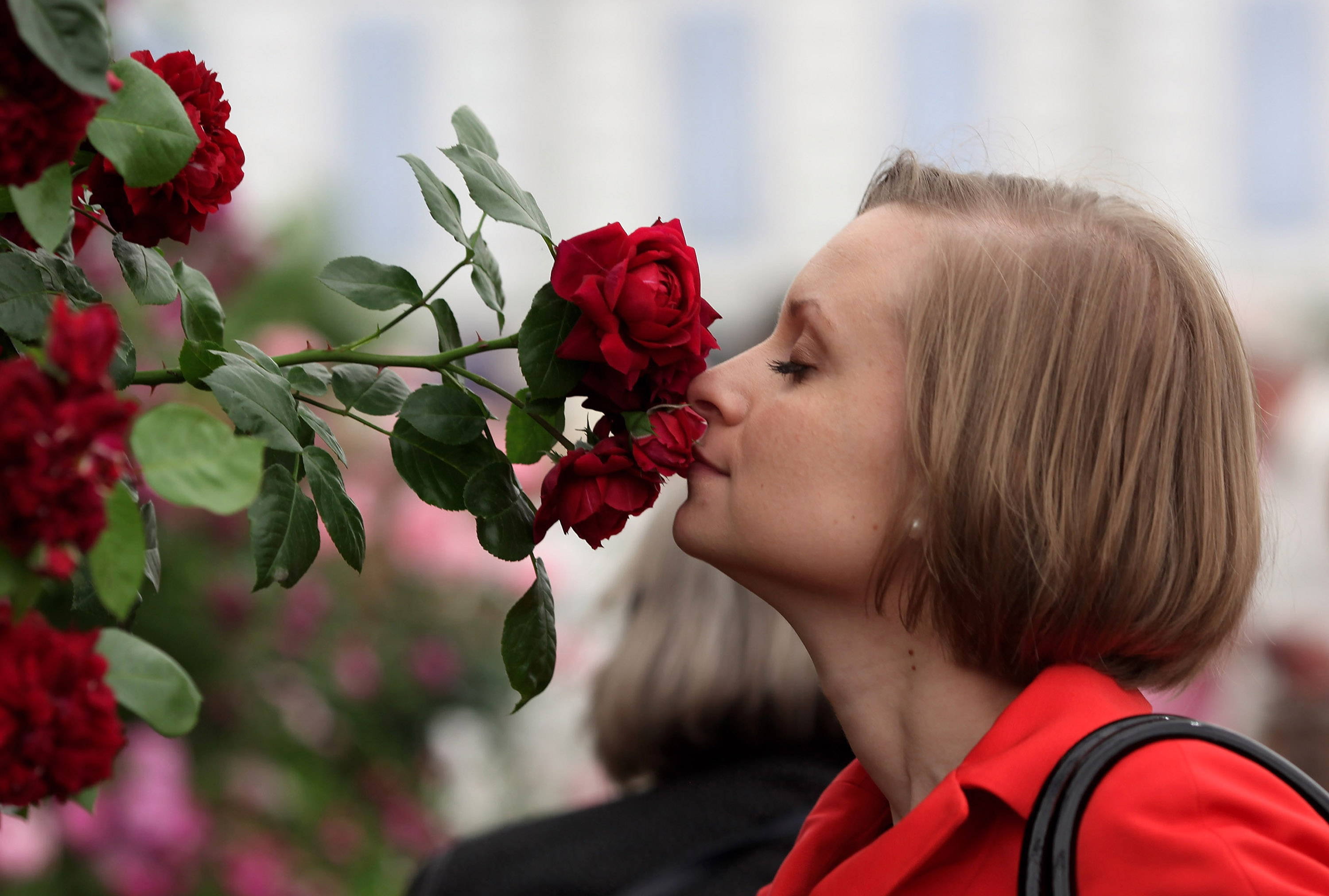 Чувствую запах цветов. Женщина с розами. Человек с цветами. Женщина нюхает цветы. Вдыхать аромат цветов.