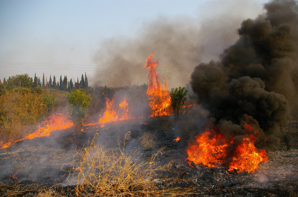 Φωτιά σε δασική έκταση στο Άγιον Όρος