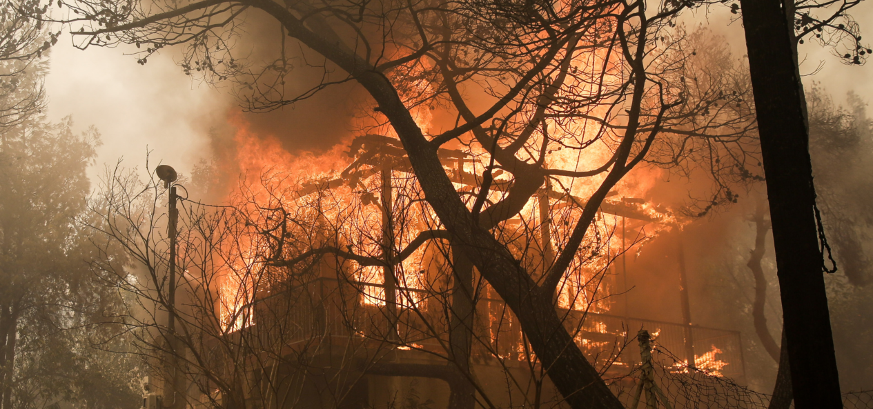 Ανεξέλεγκτη φωτιά στην Κινέτα: Καίγονται σπίτια – Εκκενώθηκαν οικισμοί (pic+vid)