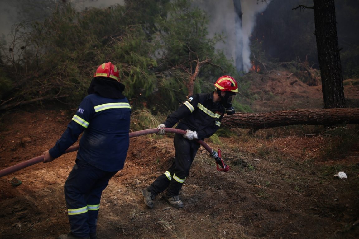 Νέες φωτιές στη Ζάκυνθο – Καίνε σε δασική έκταση (pic)