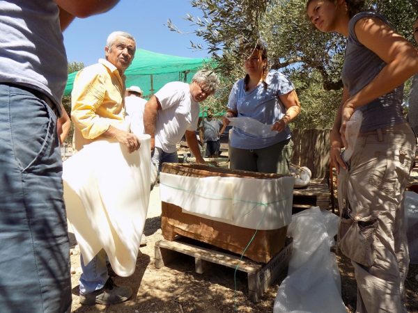 Ανακάλυψαν ασύλητο Μινωικό τάφο στην Ιεράπετρα