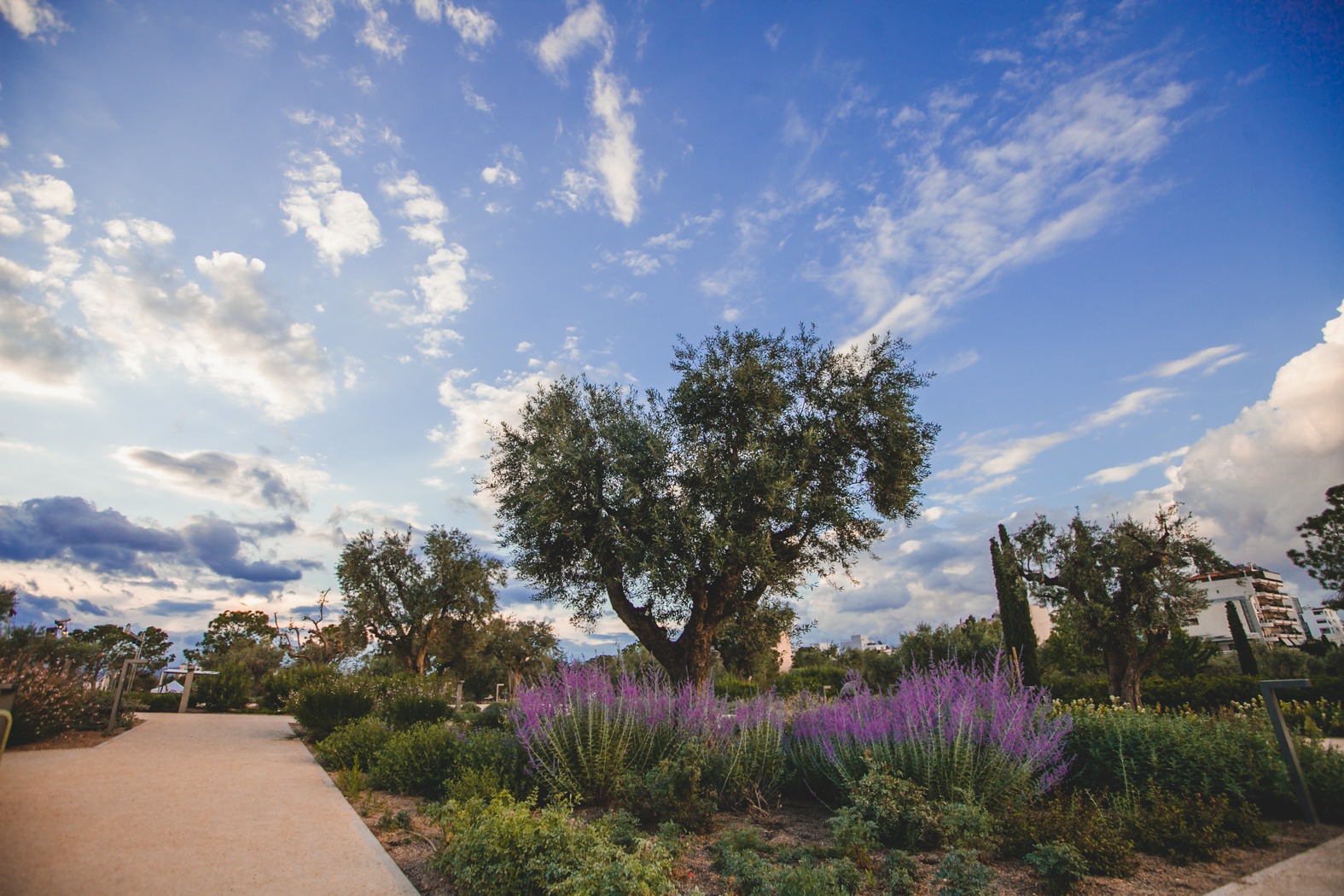 European Garden 2018 – 2019: Στο Πάρκο Σταύρος Νιάρχος το πρώτο βραβείο