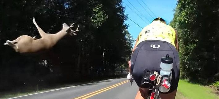 Viral αν και τρομακτικό – Αμάξι χτυπάει ελάφι, το πετά στον αέρα δίπλα σε ποδηλάτη (vid)