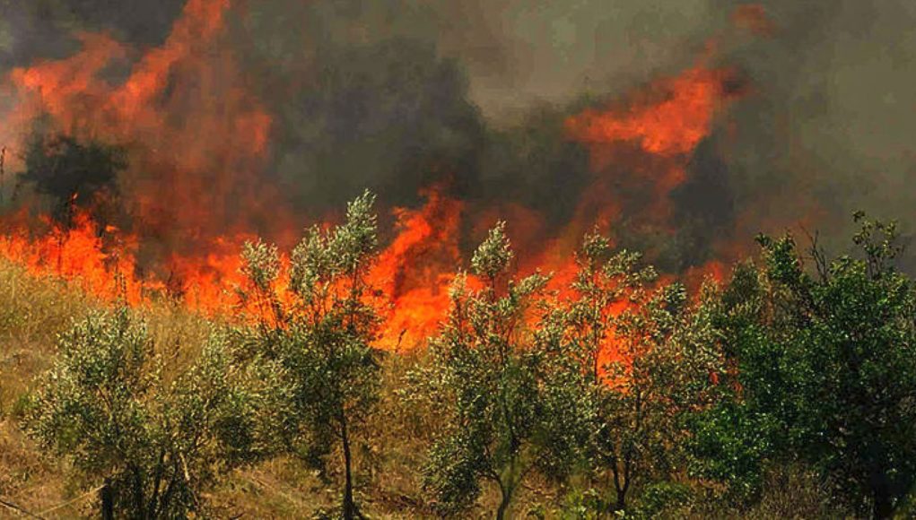 Εκκένωση οικισμού στην Κέρκυρα λόγω πυρκαγιάς