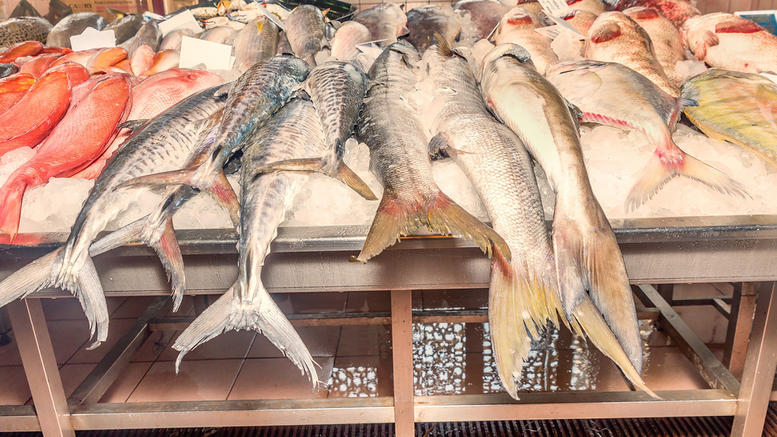 Ο ΕΦΕΤ αποσύρει από την αγορά ακατάλληλα κατεψυγμένα ψάρια