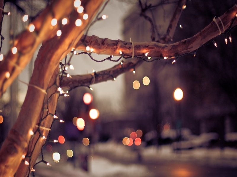 Χριστουγεννιάτικη χλιδή: 3 εκατ. κρύσταλλοι Swarovski στην κορυφή του δέντρου!