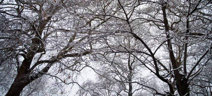 Τραγικός θάνατος 55χρονης στο Καρπενήσι – Λόγω χιονιά