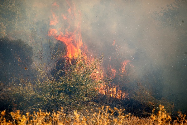 Πυρκαγιά σε εξέλιξη στη λίμνη Καϊάφα – Πρόκειται για τη δεύτερη σε δύο μέρες