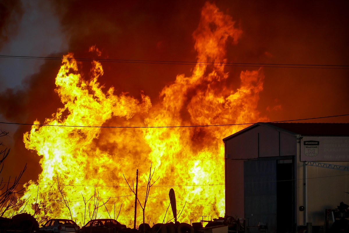 Φωτιά Λάρισα: Πύρινος εφιάλτης σε εργοστάσιο ξυλείας