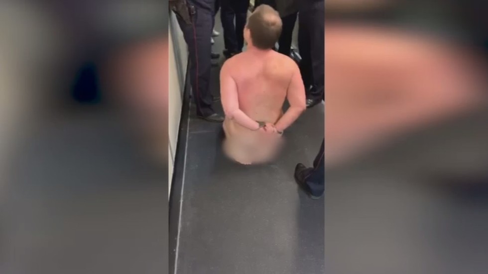 Αεροδρόμιο Μόσχας: Συναγερμός, λόγω γυμνού άντρα (vid)