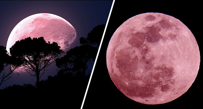 Ροζ Πανσέληνος: Απόψε θα απολαύσουμε το ροζ ολόγιομο φεγγάρι του Απριλίου