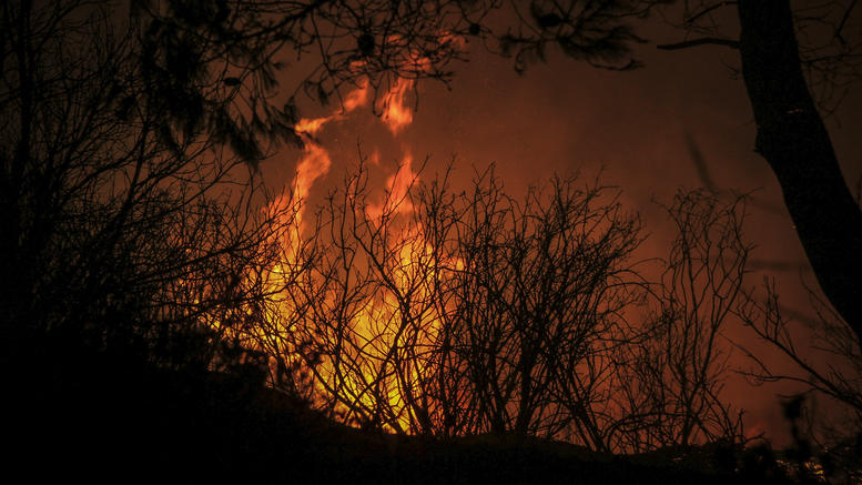 Πυρκαγιά στην Ηλεία: Στάχτη έγιναν πάνω από 2.000 στρέμματα (vid)