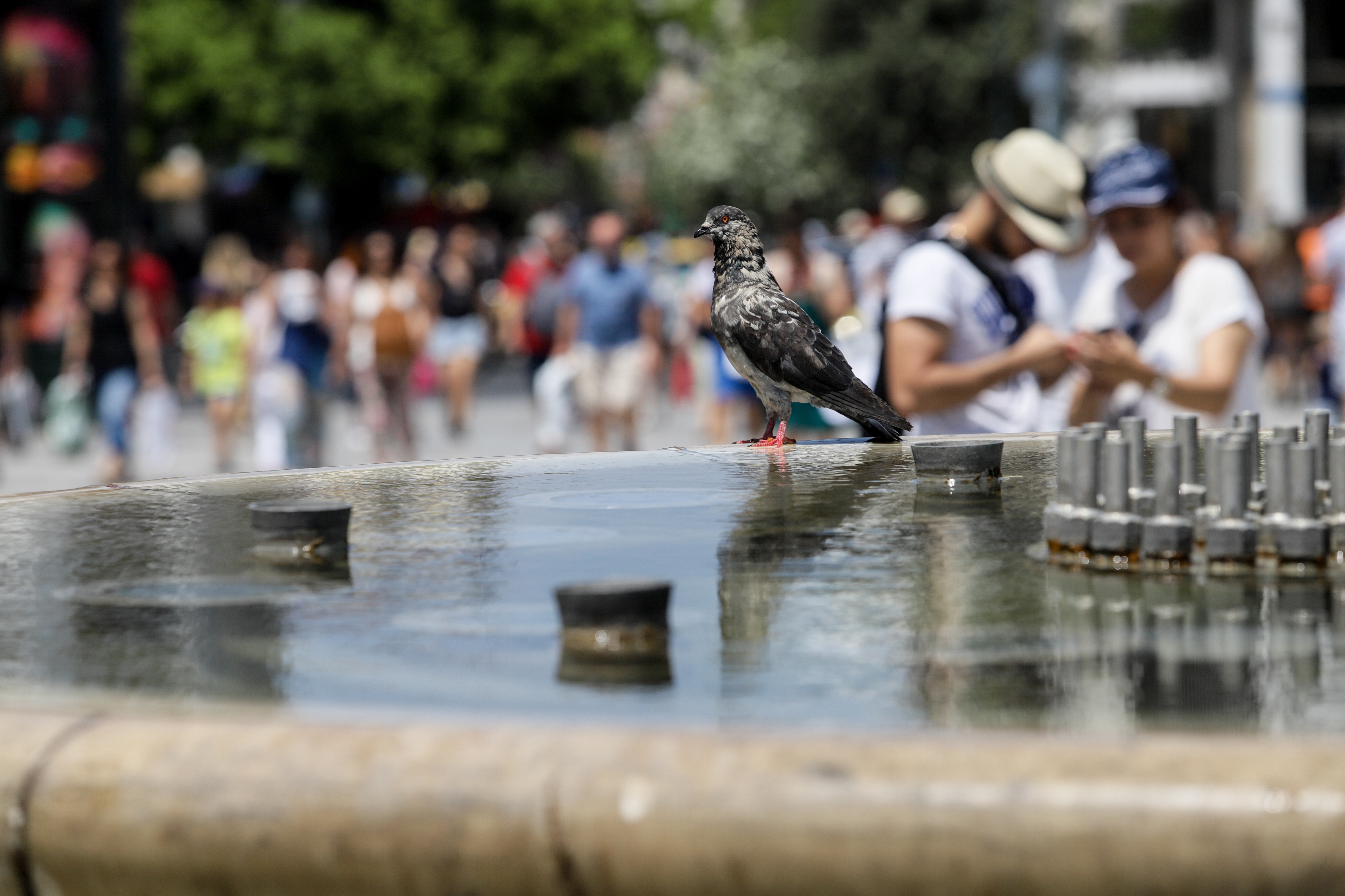 Καιρός σήμερα 25/7: Ηλιοφάνεια θα επικρατεί σήμερα στη χώρα