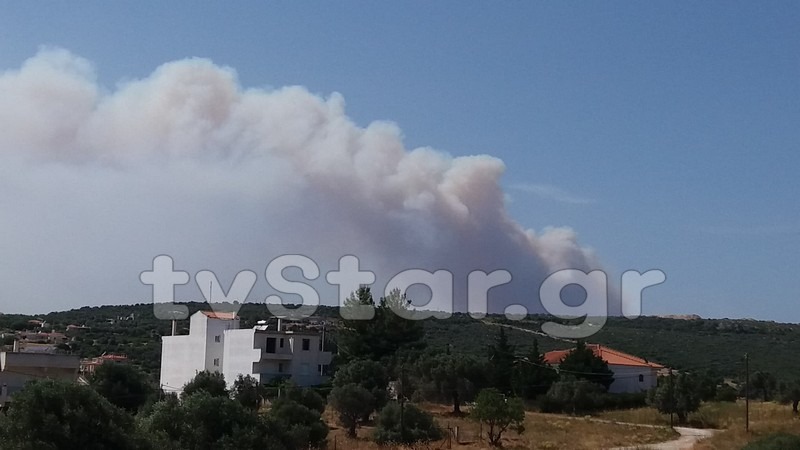 Μανίκια Εύβοιας: Μεγάλη φωτιά, εκκενώθηκε χωριό (vids)