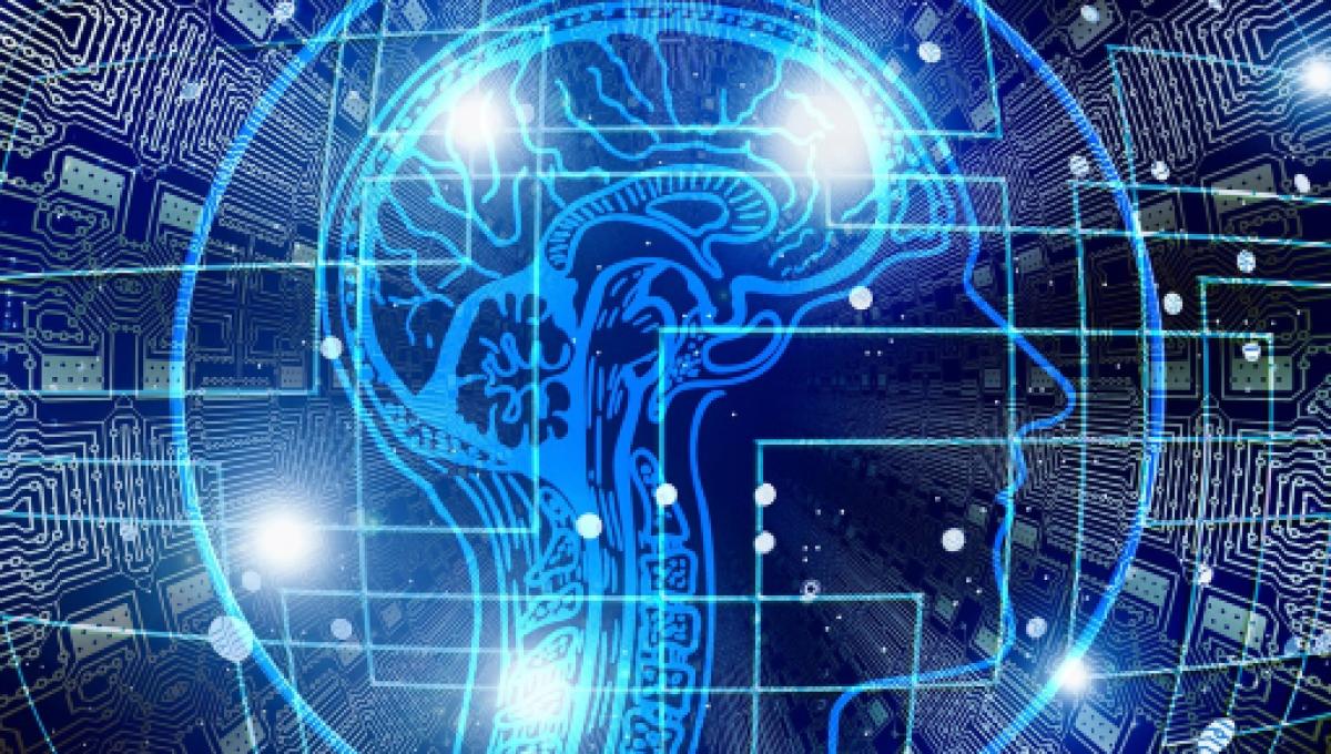 Εγκέφαλος και συμπεριφορά: Νέα επιστημονική ανακάλυψη