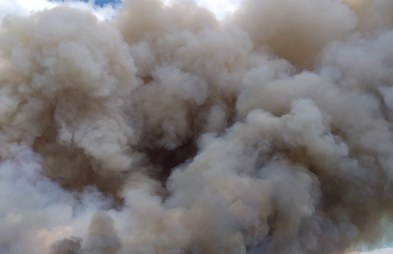Φωτιά τώρα: Πυρκαγιά στην Τανάγρα, ολονύχτια μάχη με τις φλόγες