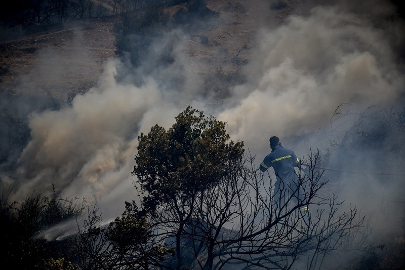 Φωτιά τώρα: Εκτός ελέγχου η φωτιά στον Κιθαιρώνα (vids)