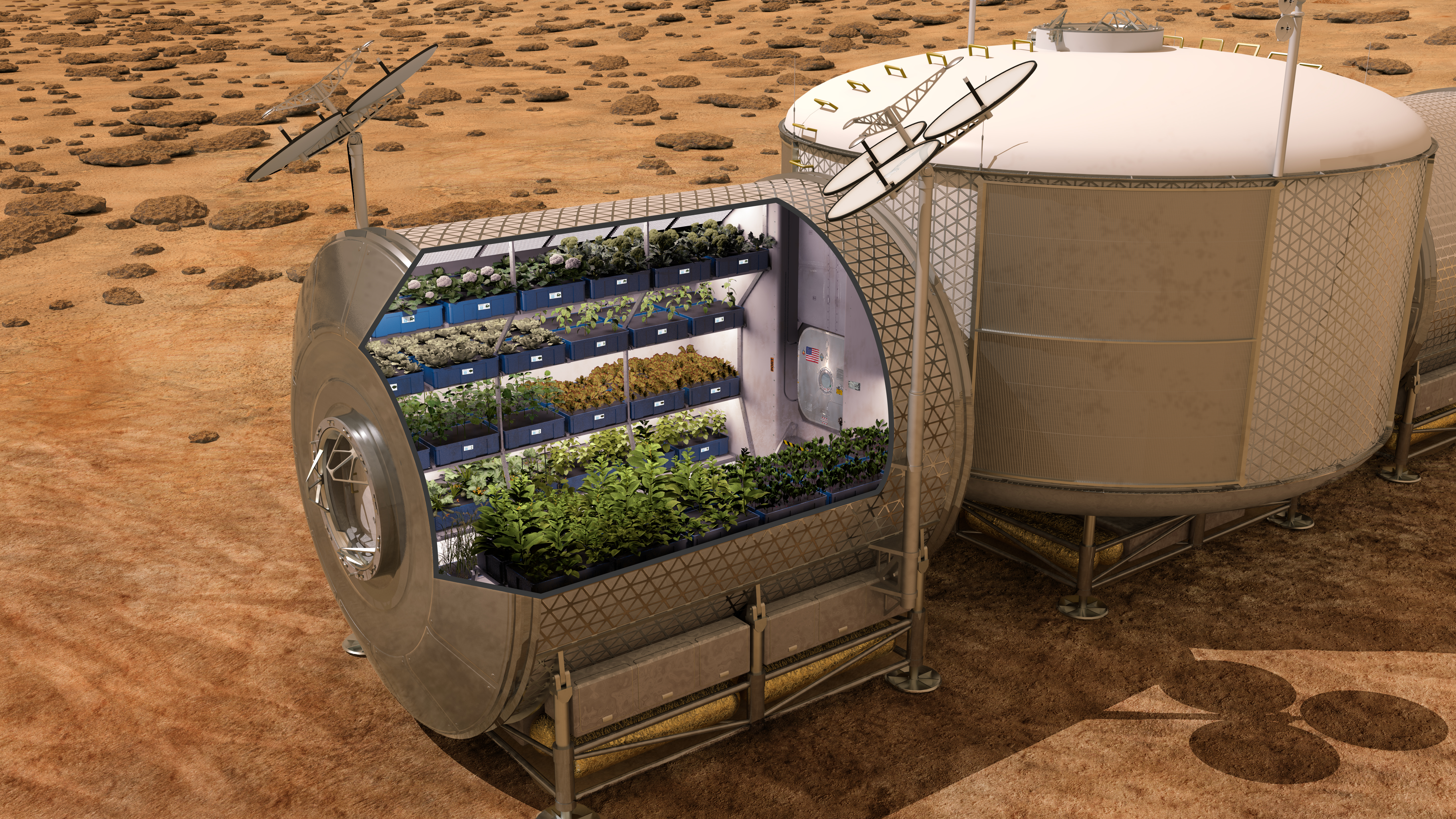 NASA: Καλλιέργειες στο διάστημα