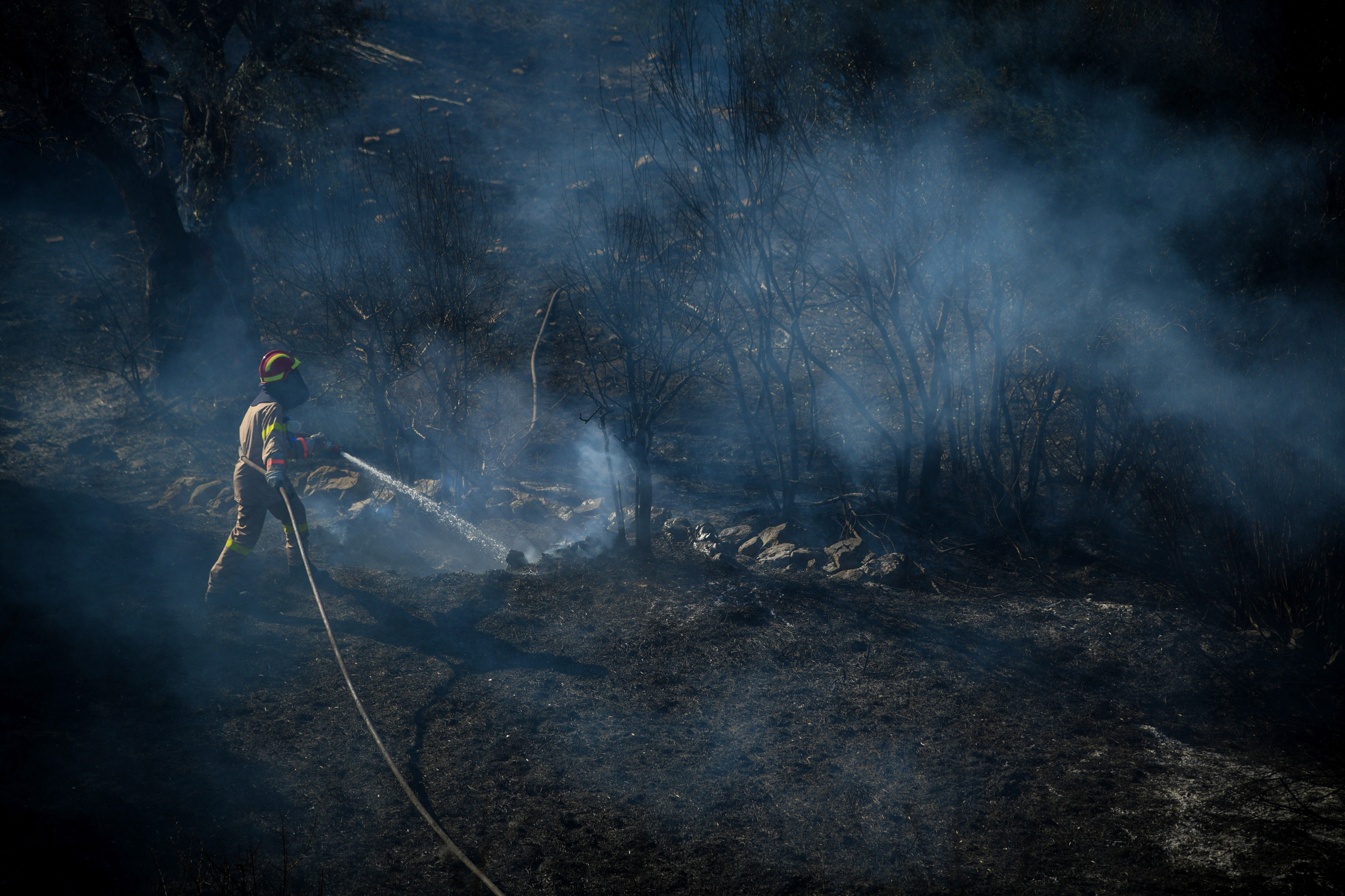 Φωτιά τώρα: Πολύ υψηλός κίνδυνος πυρκαγιάς – Ξέσπασαν 59 μέτωπα σε 24 ώρες
