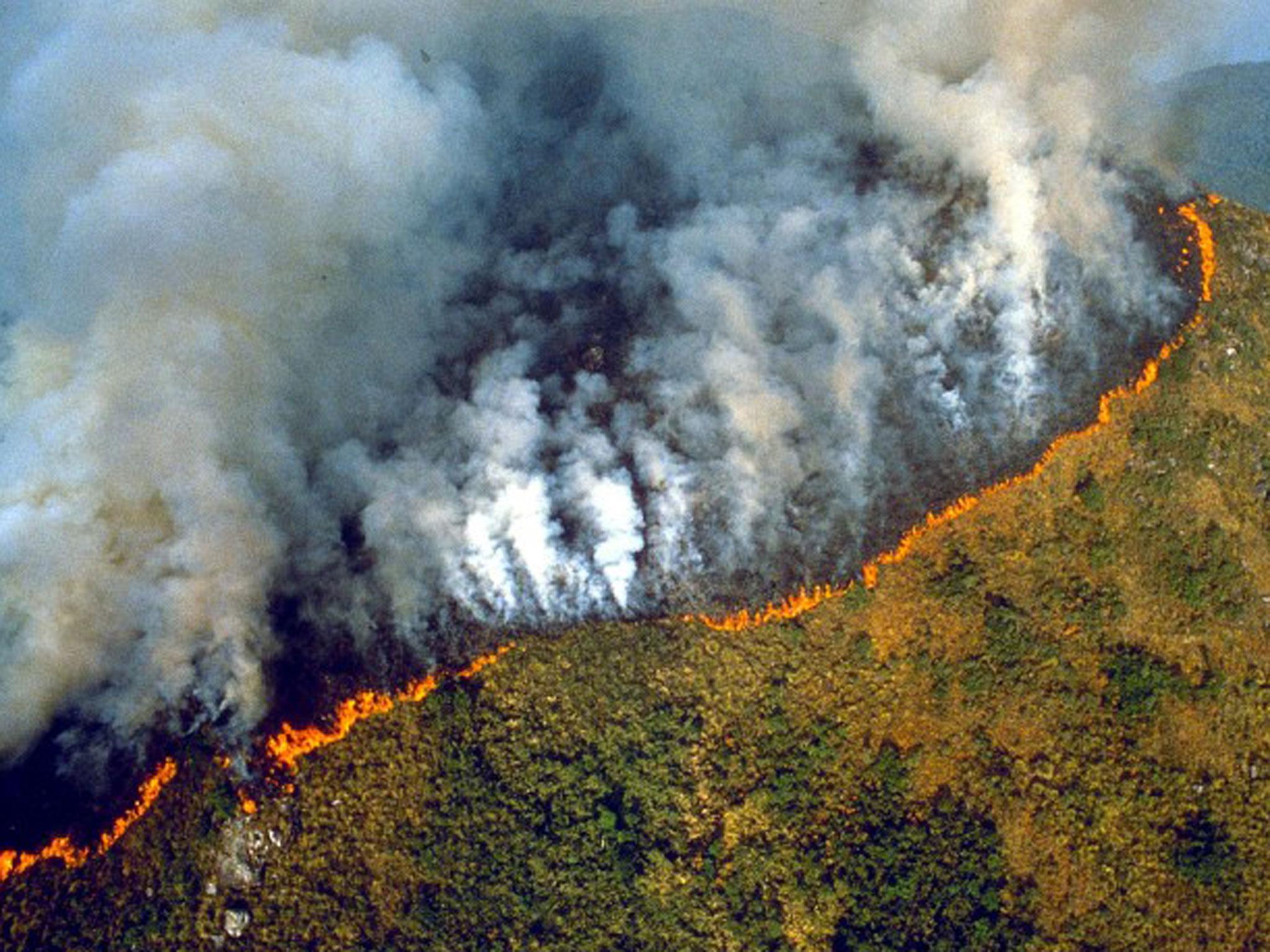Αμαζόνιος – πυρκαγιές: Τι φταίει για την καταστροφή