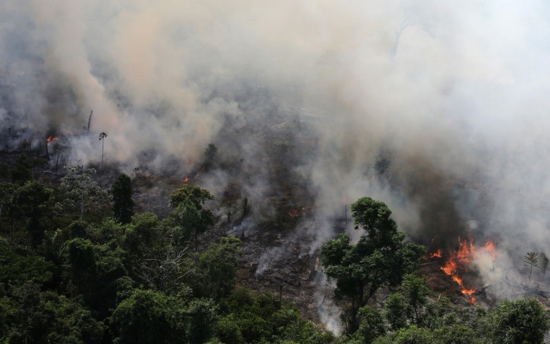 Αμαζόνιος: Η φωτιά που επηρεάζει ολόκληρο τον πλανήτη