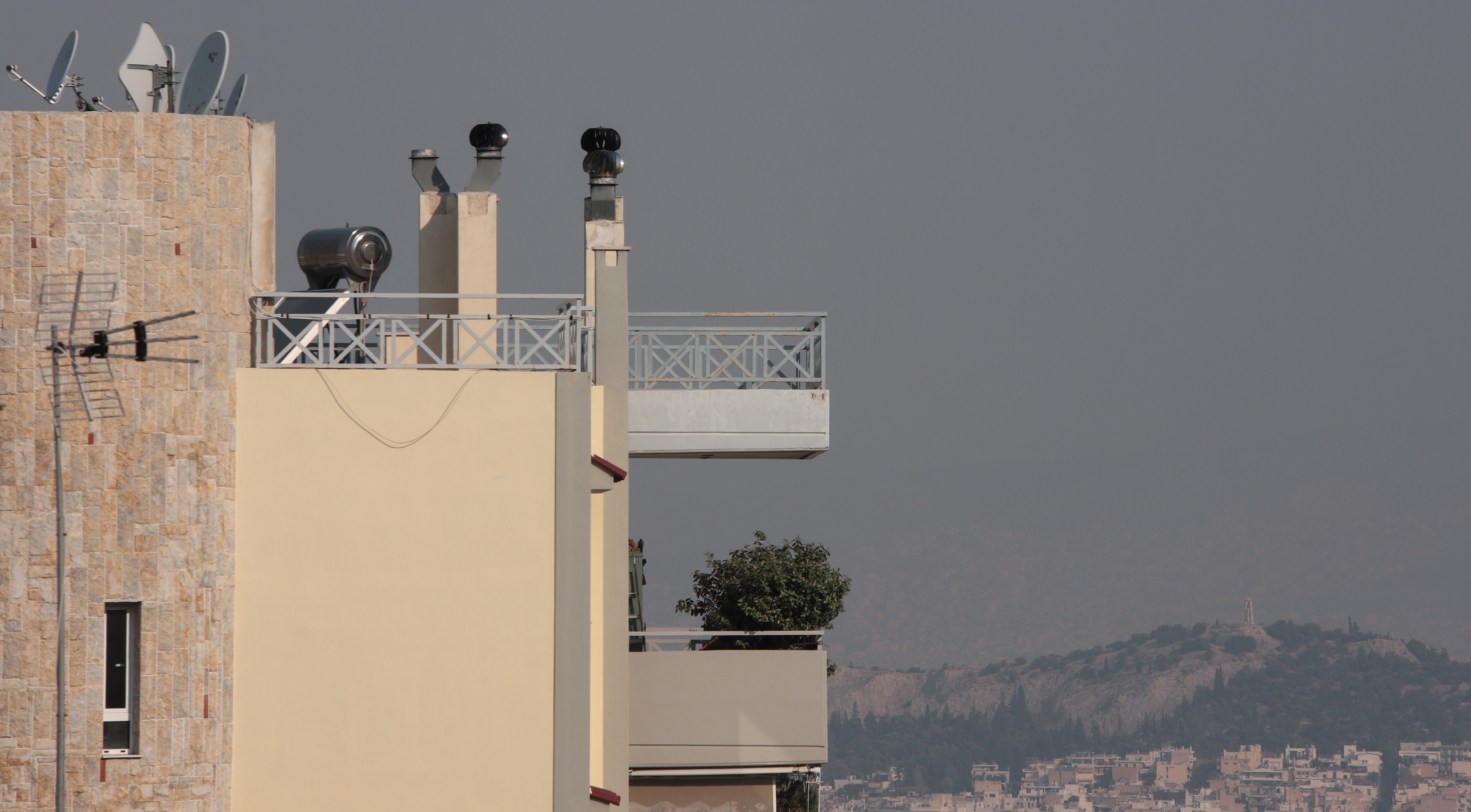 Φωτιά τώρα: Καίγεται η Εύβοια – Αιχμές από τον δήμαρχο Διρφύων