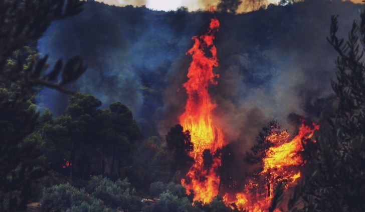 Φωτιά τώρα: Φωτιά και στη Θήβα, καίγεται δάσος