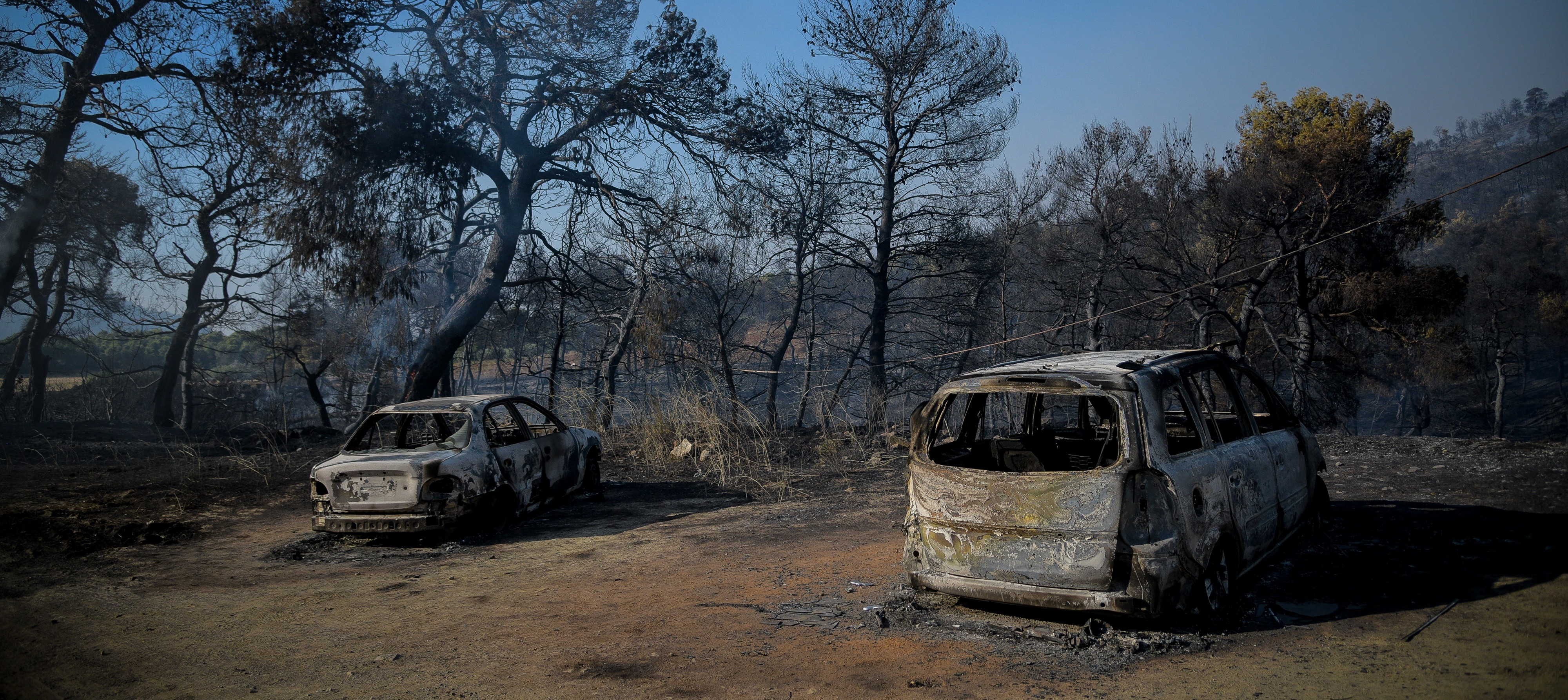 Φωτιά Εύβοια: Τουλάχιστον 25.000 στρέμματα η καμένη έκταση
