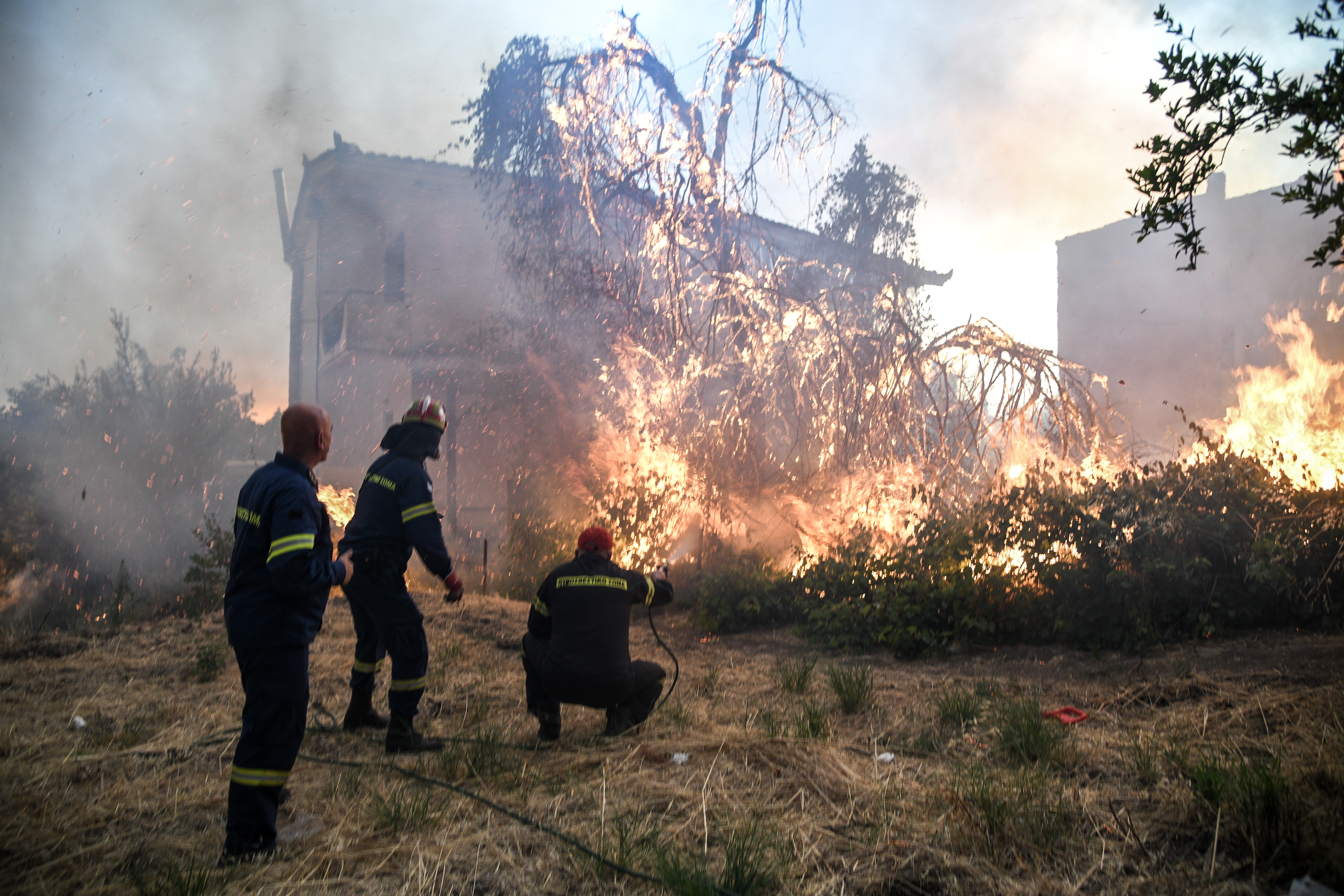 Φωτιά τώρα: Σε ποιες περιοχές υπάρχουν φωτιές