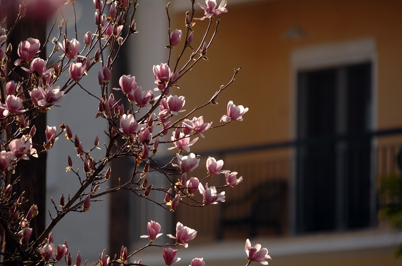 Κτηματολόγιο παράταση 2019: Ποιες περιοχές έχουν περιθώριο ως τον Σεπτέμβριο