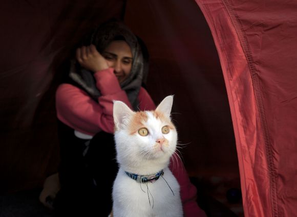 Συρία – πρόσφυγες: Ένας άλλος… Σύριος