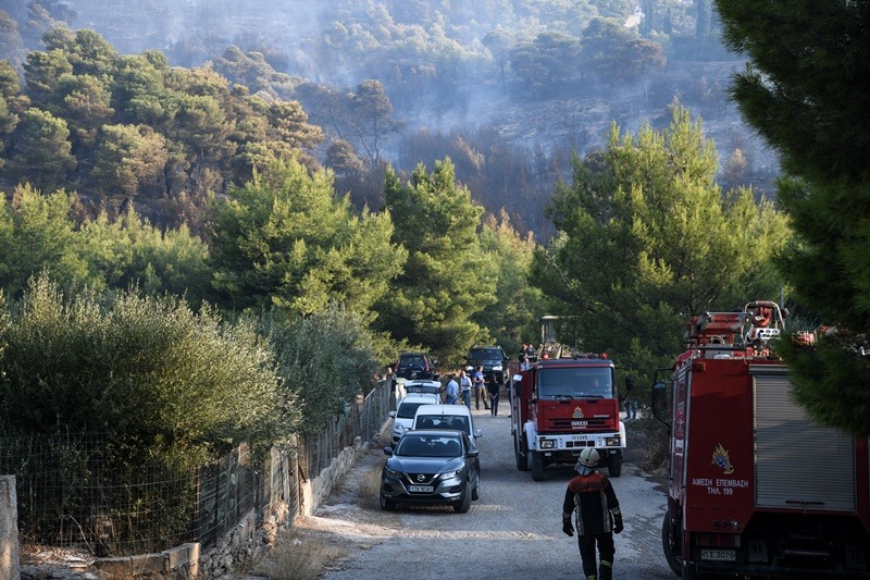 Φωτιά Νέα Μάκρη: Εμπρησμό δείχνουν όλα τα στοιχεία – Η σοβαρή μαρτυρία (vid)