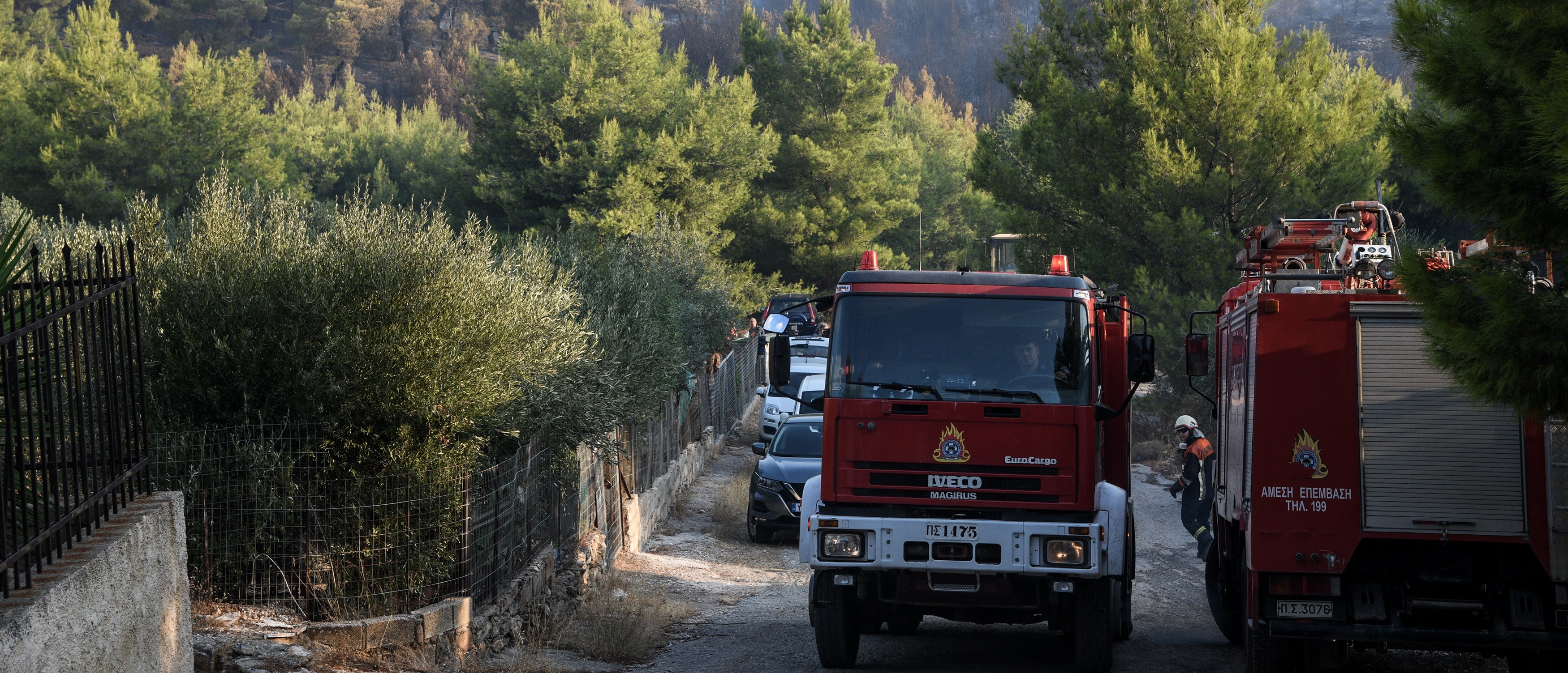 Φωτιά Νέα Μάκρη: “Είναι η έβδομη φωτιά, δεν είναι τυχαίο”, λέει ο Χαρδαλιάς (vids)