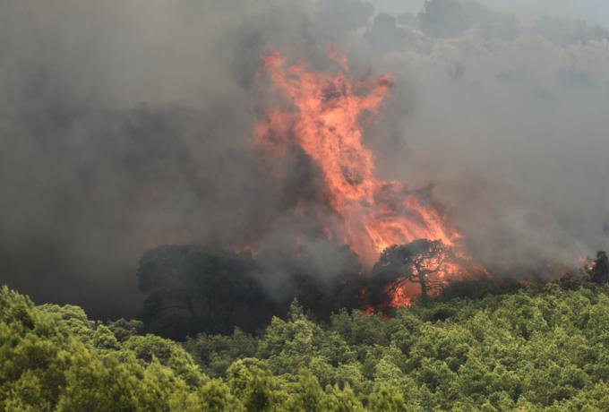 Φωτιά τώρα: Μεγάλη πυρκαγιά στην Αρκαδία