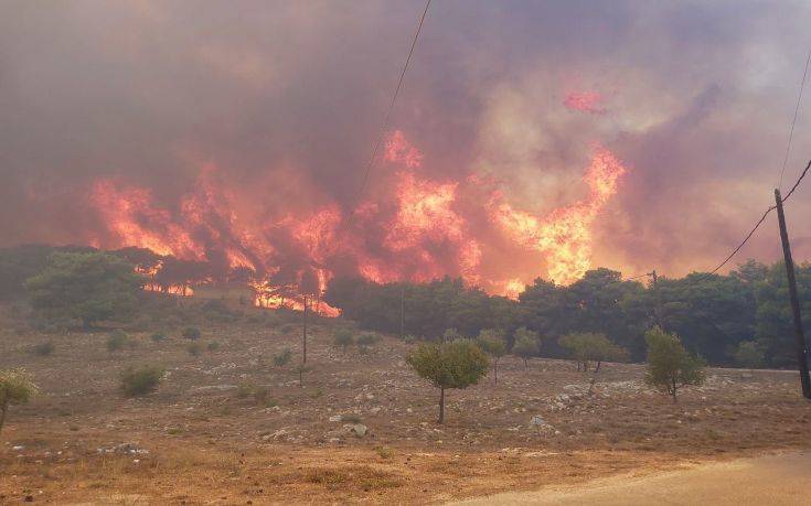 Φωτιά τώρα: Μεγάλη πυρκαγιά στην Ηλεία