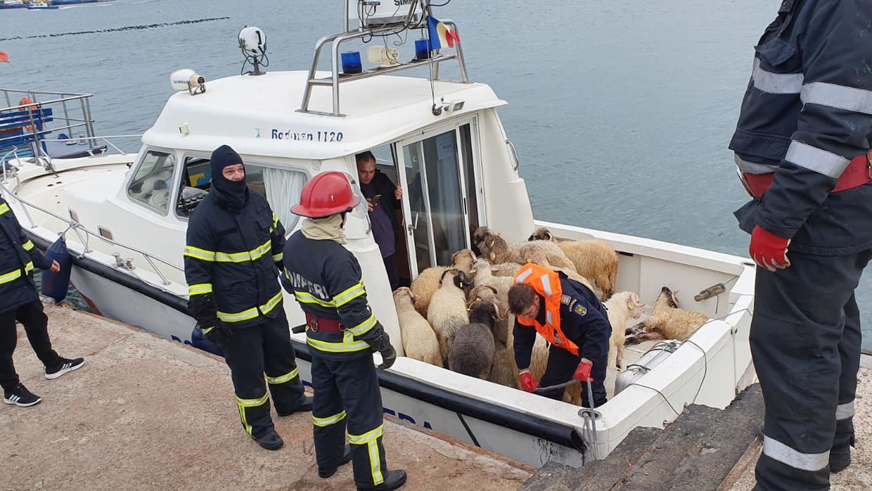 Ρουμανία: Ανατράπηκε πλοίο στη Μαύρη Θάλασσα με 14.600 πρόβατα