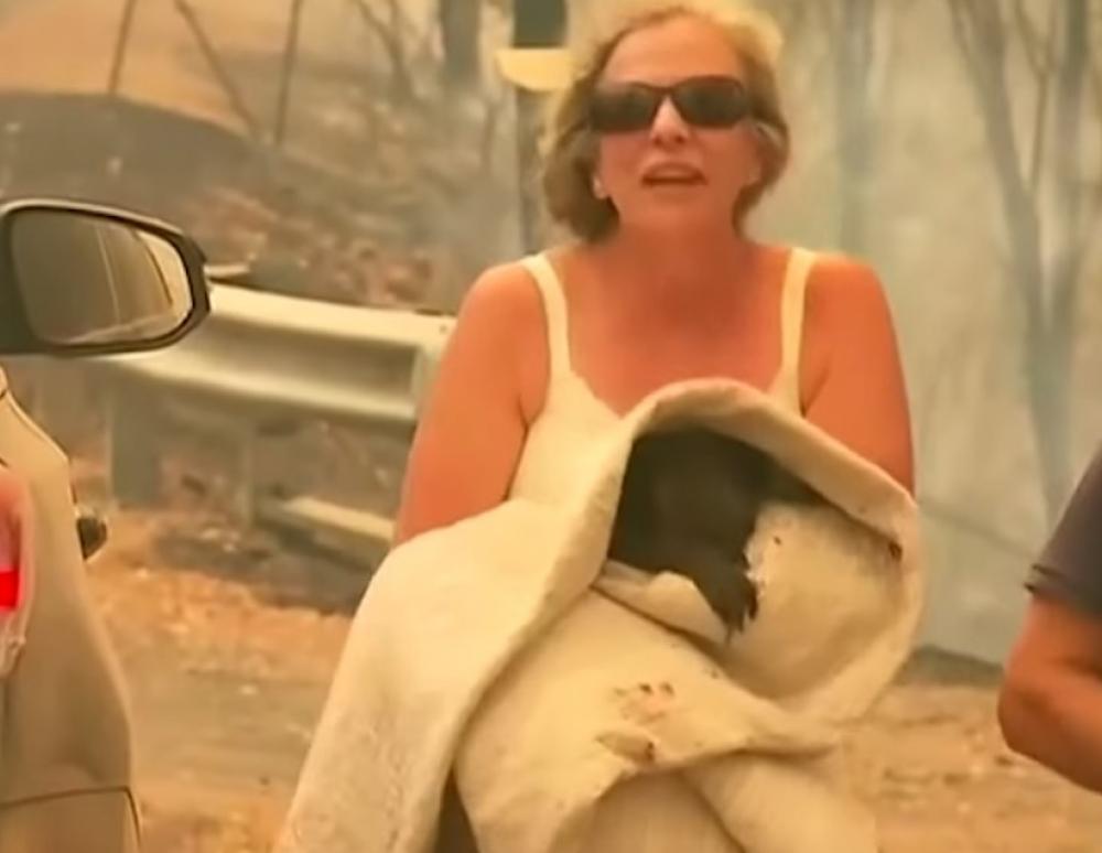 Διάσωση κοάλα: Μαίνονται οι φωτιές στην Αυστραλία – Η συγκινητική κίνηση γυναίκας